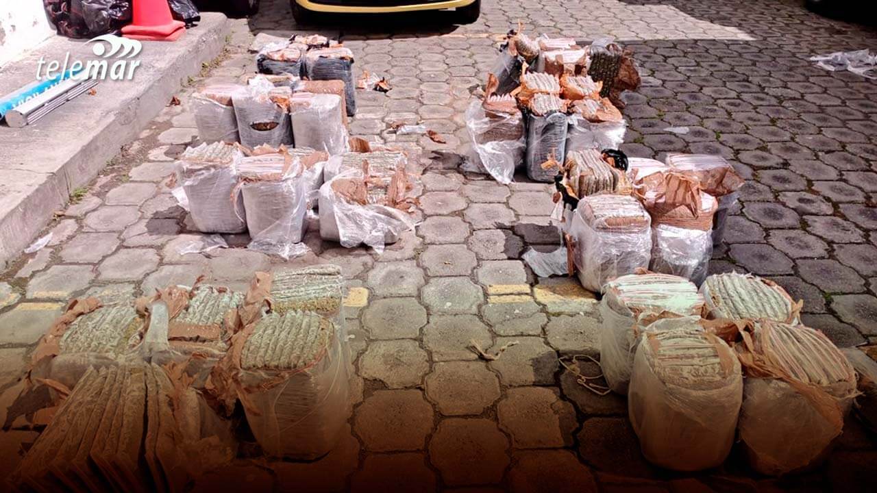 Policía Nacional Confisca 210 kg de Marihuana en Imbabura