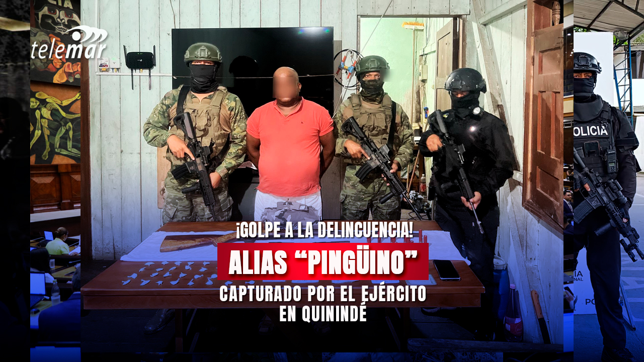 ¡Golpe a la delincuencia! capturan a alias “Pingüino” en Quinindé