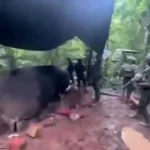 Ejército destruye complejo clandestino de hidrocarburos en Sucumbíos