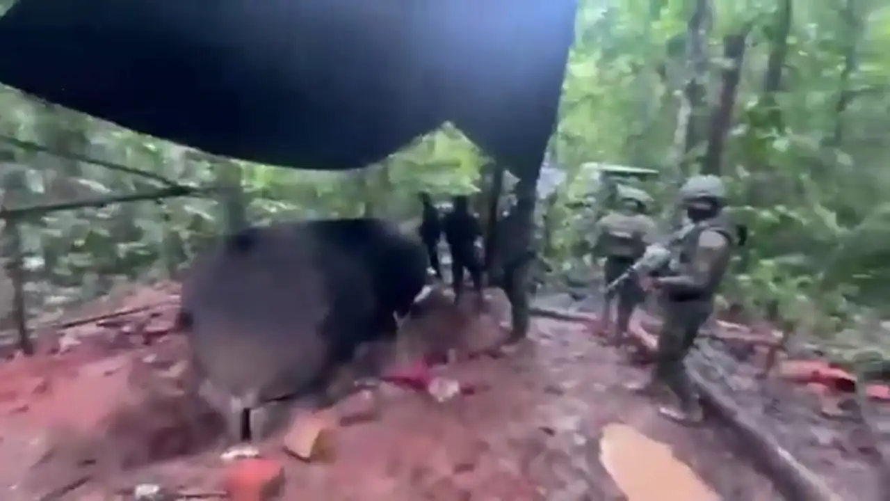 Ejército destruye complejo clandestino de hidrocarburos en Sucumbíos