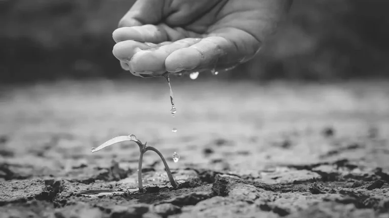 Crisis rural: Ordenanza de uso de suelo asfixia al agro muisneño