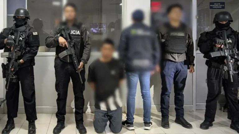 Operativo "Fénix 341" desmantela red de pornografía infantil