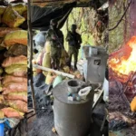 Desmantelan laboratorio y dos campamentos guerrilleros en Imbabura