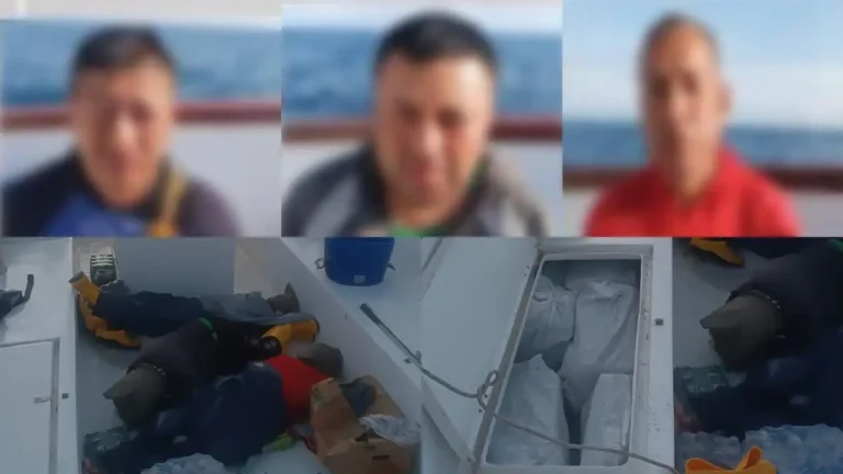 Operativo internacional "Amatista" incauta 2,47 toneladas de cocaína