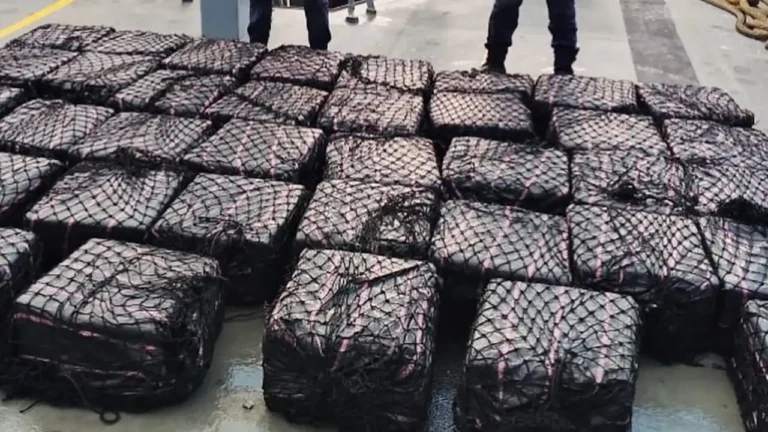 Golpe al narcotráfico transnacional: decomisan cargamento de 70 millones