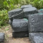 "Feriado Sorpresa" incauta 4.5 Toneladas de droga con un valor de 275 Millones USD en Manabí