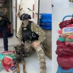 EP FLOPEC denuncia ante Fiscalía hallazgo de droga en buque Aquatravesía y aclara que es arrendado