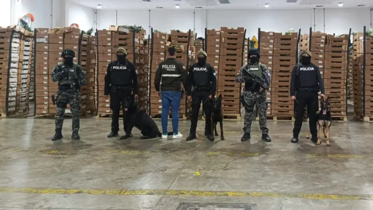 Operativo Fénix 0243 incauta dos toneladas cocaína en el Puerto de Posorja