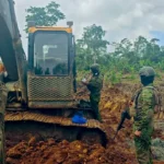 Operativo en Durango: Afectación de 300 mil dólares a economías ilícitas en San Lorenzo