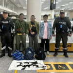 Policía detecta tráfico de iguanas marinas de Galápagos en el aeropuerto de Guayaquil