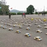 El Bloque de Seguridad incautó 604 paquetes de marihuana en el ingreso a la vía al sector de Chontaduro, perteneciente al cantón Rioverde.