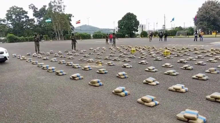 Bloque de Seguridad incauta más de media tonelada de marihuana en Rioverde