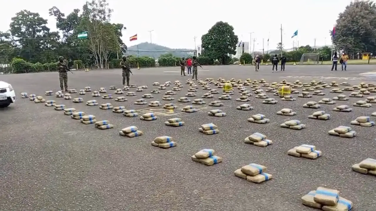 El Bloque de Seguridad incautó 604 paquetes de marihuana en el ingreso a la vía al sector de Chontaduro, perteneciente al cantón Rioverde.