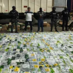 Hallan más de una tonelada de cocaína en cajas de banano en Puerto Bolívar, El Oro