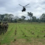 Intervenciones militares en Sucumbíos destruyen cultivo de coca y rescata a ciudadano
