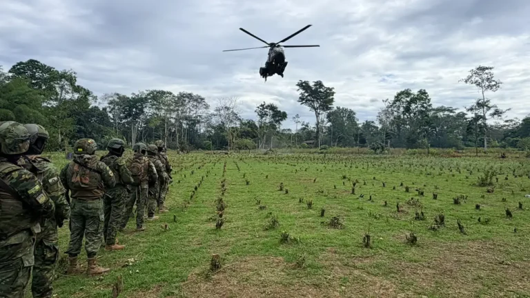 Intervenciones militares en Sucumbíos destruyen cultivo de coca y rescata a ciudadano