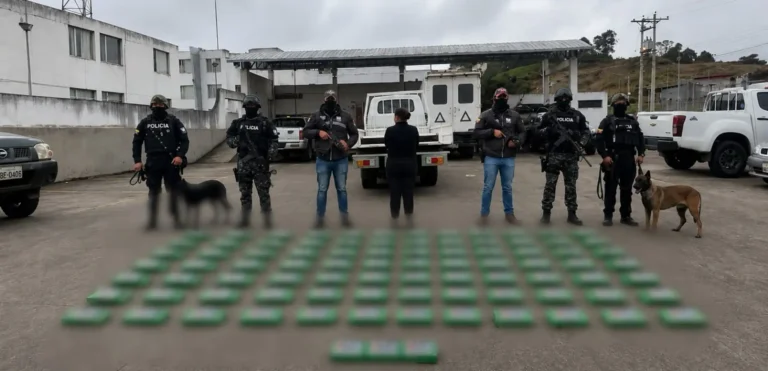 Mujer transportaba 370 kilos de cocaína en un camión con doble fondo en Tulcán