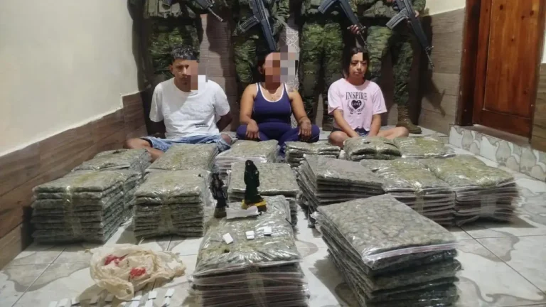 Operativo militar en Alangasí desarticula presunta célula de "Los Lobos" y decomisa droga