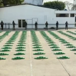 Policía incauta más de 1,5 toneladas de cocaína en Manabí