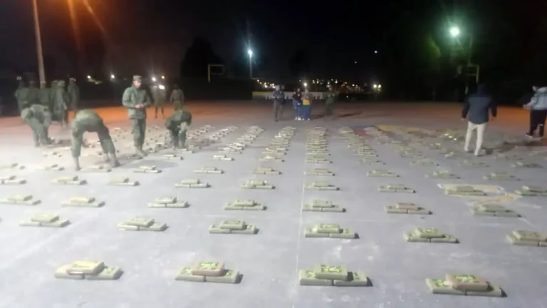 Ejército incauta 1,3 toneladas de marihuana en Carchi