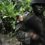 Operativo militar deja cinco abatidos tras emboscada en el sector Guayusa, en Alto Punino