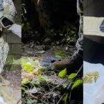 Operativo militar deja varios indicios incautados en el sector Isla Luis Vargas Torres