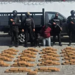 Operativos dejan dos aprehendidos y droga decomisada en Carchi e Imbabura