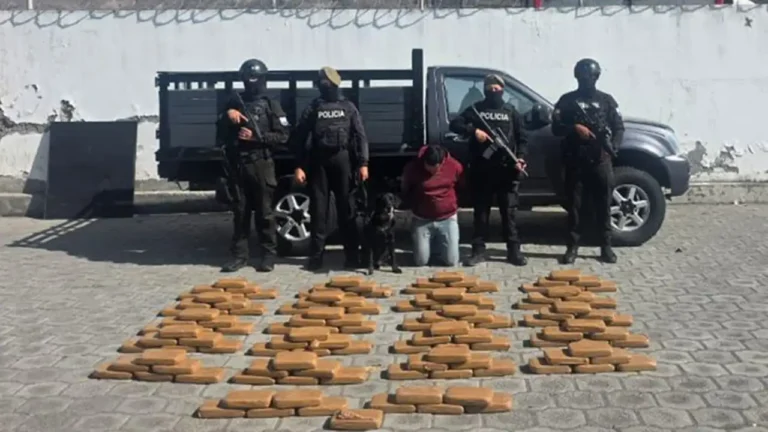 Operativos dejan dos aprehendidos y droga decomisada en Carchi e Imbabura