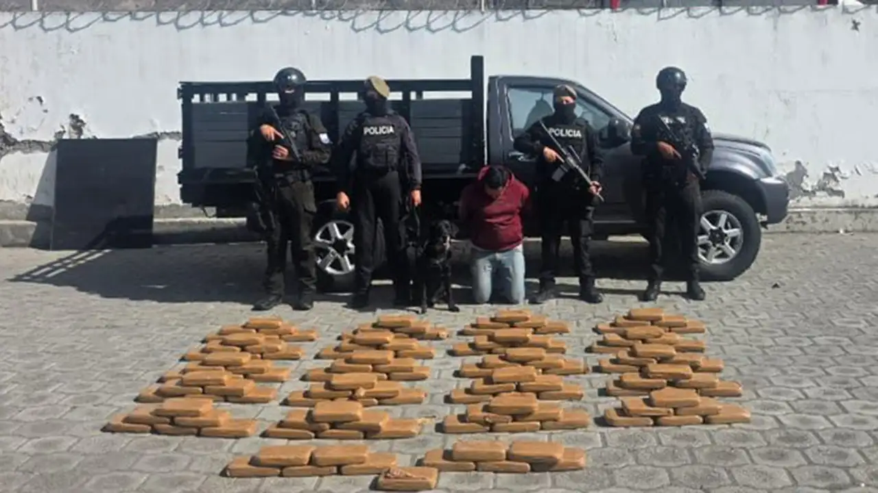 Operativos dejan dos aprehendidos y droga decomisada en Carchi e Imbabura